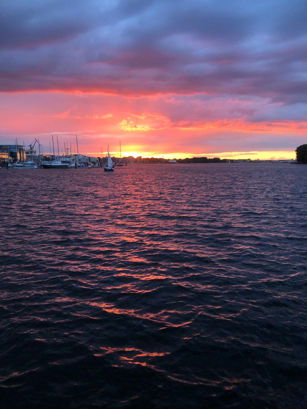 Psychische Gesundheit im Studium – 20 aufgeräumte Tipps mit neurowissenschaftlichem Turbo